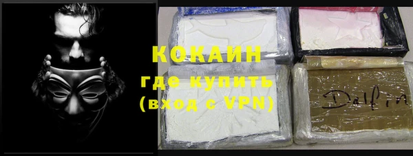 гидра Надым