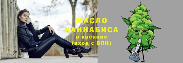 гидра Надым
