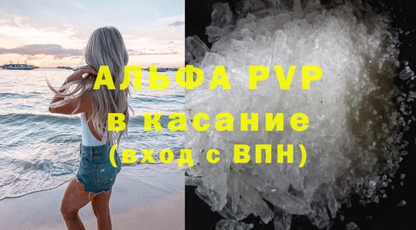 гидра Надым
