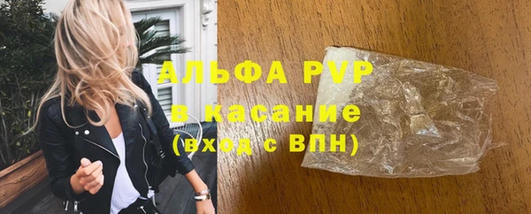 гидра Надым