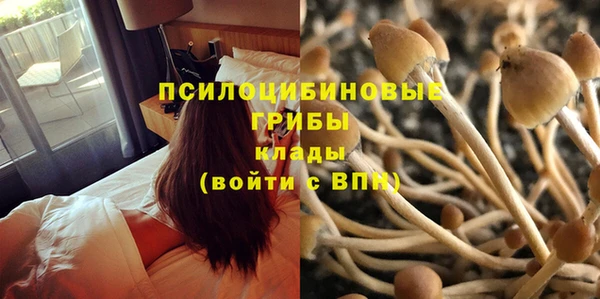 альфа пвп Нефтекумск