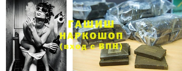 гидра Надым