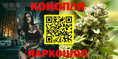 spice Волгодонск