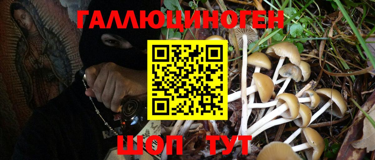 Галлюциногенные грибы MAGIC MUSHROOMS  Вход с VPN  Новоалтайск  Галлюциногенные грибы Psilocybine cubensis 
