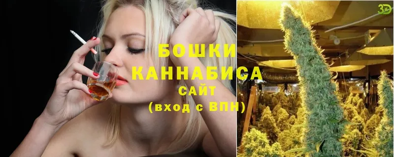 купить наркотик  Новоалтайск  Шишки марихуана Ganja 